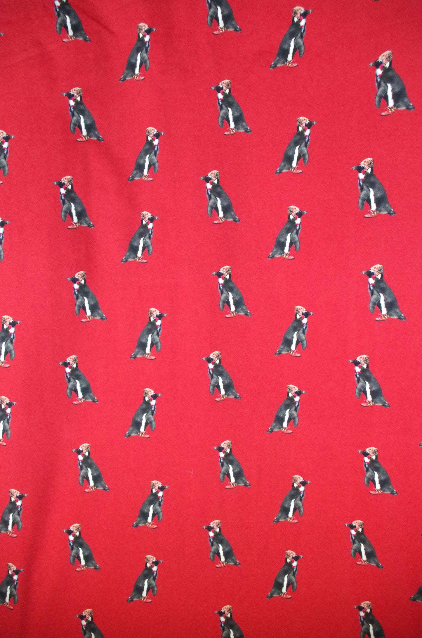 Stenzo 100% Cotton Oeko-Tex Fabric Panel - Sherpa Penguin on Red Background - 60" x 47"