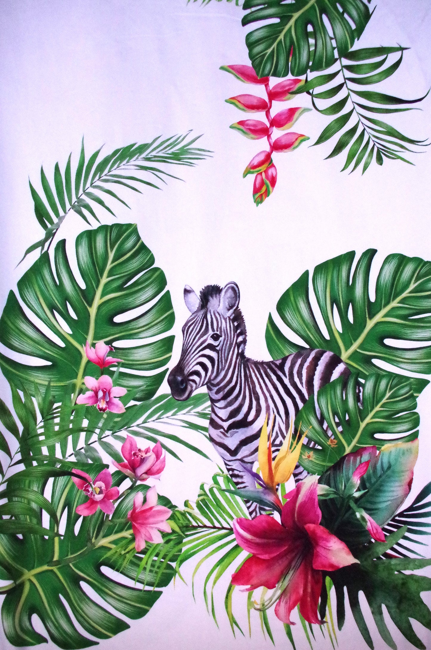 Stenzo 100% Cotton Oeko-Tex Fabric Panel - Cheetah and Zebra on White Background - 60" x 47"