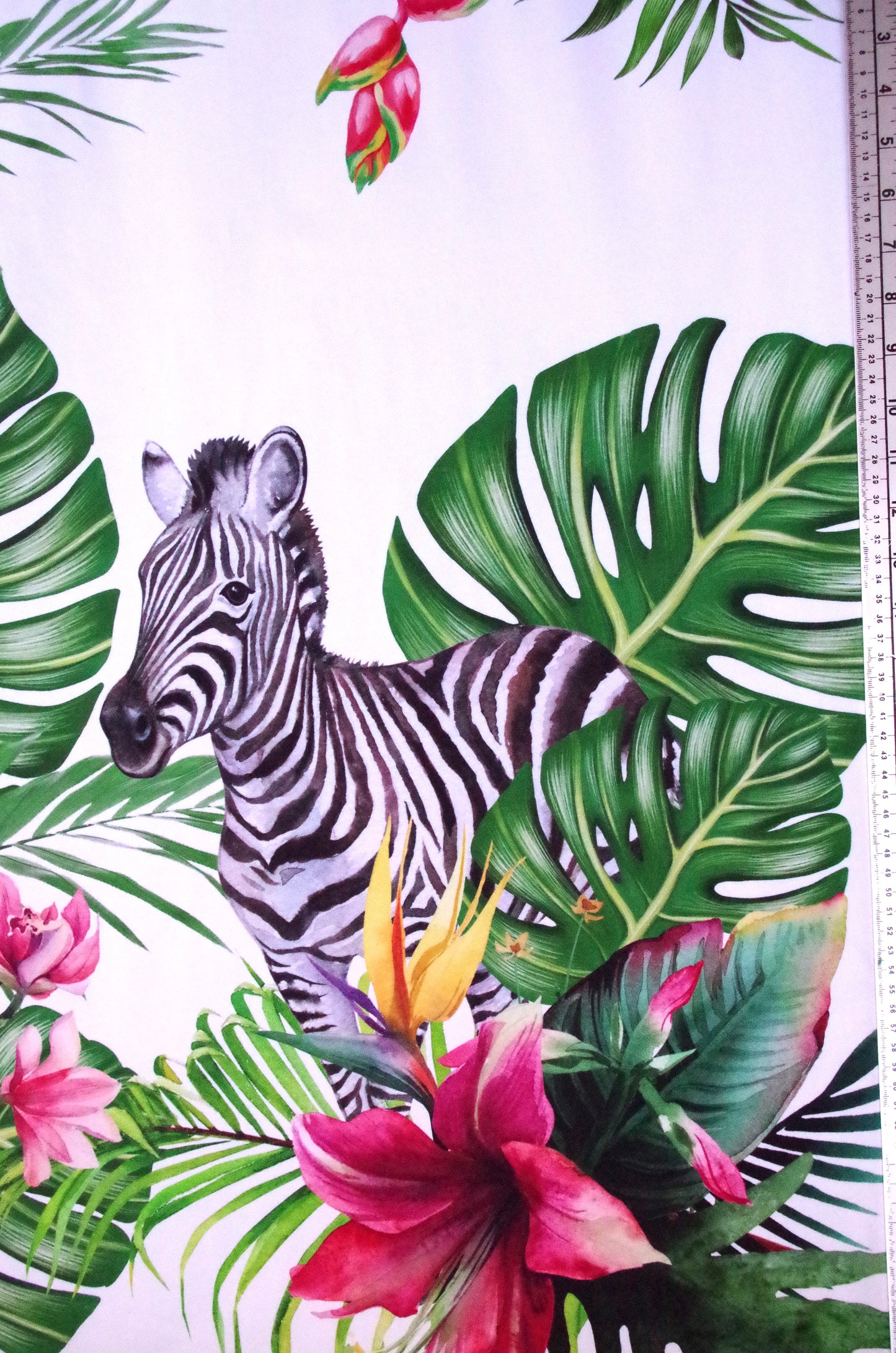 Stenzo 100% Cotton Oeko-Tex Fabric Panel - Cheetah and Zebra on White Background - 60" x 47"