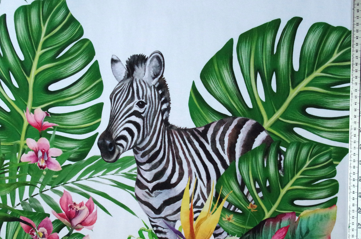 Stenzo 100% Cotton Oeko-Tex Fabric Panel - Cheetah and Zebra on White Background - 60" x 47"
