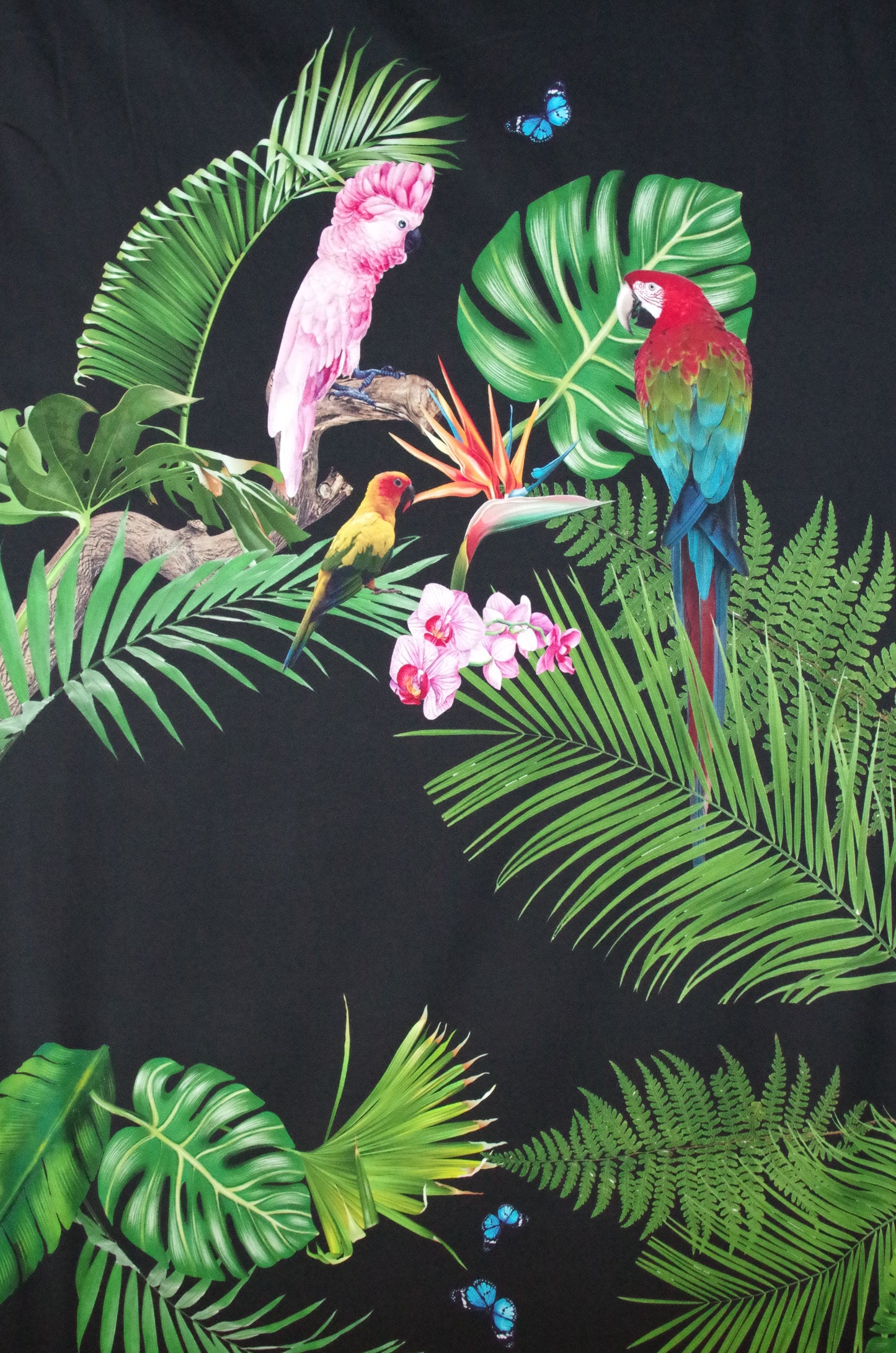 Stenzo 100% Cotton Oeko-Tex Fabric Panel - Tropical Birds on Black Background - 60" x 47"