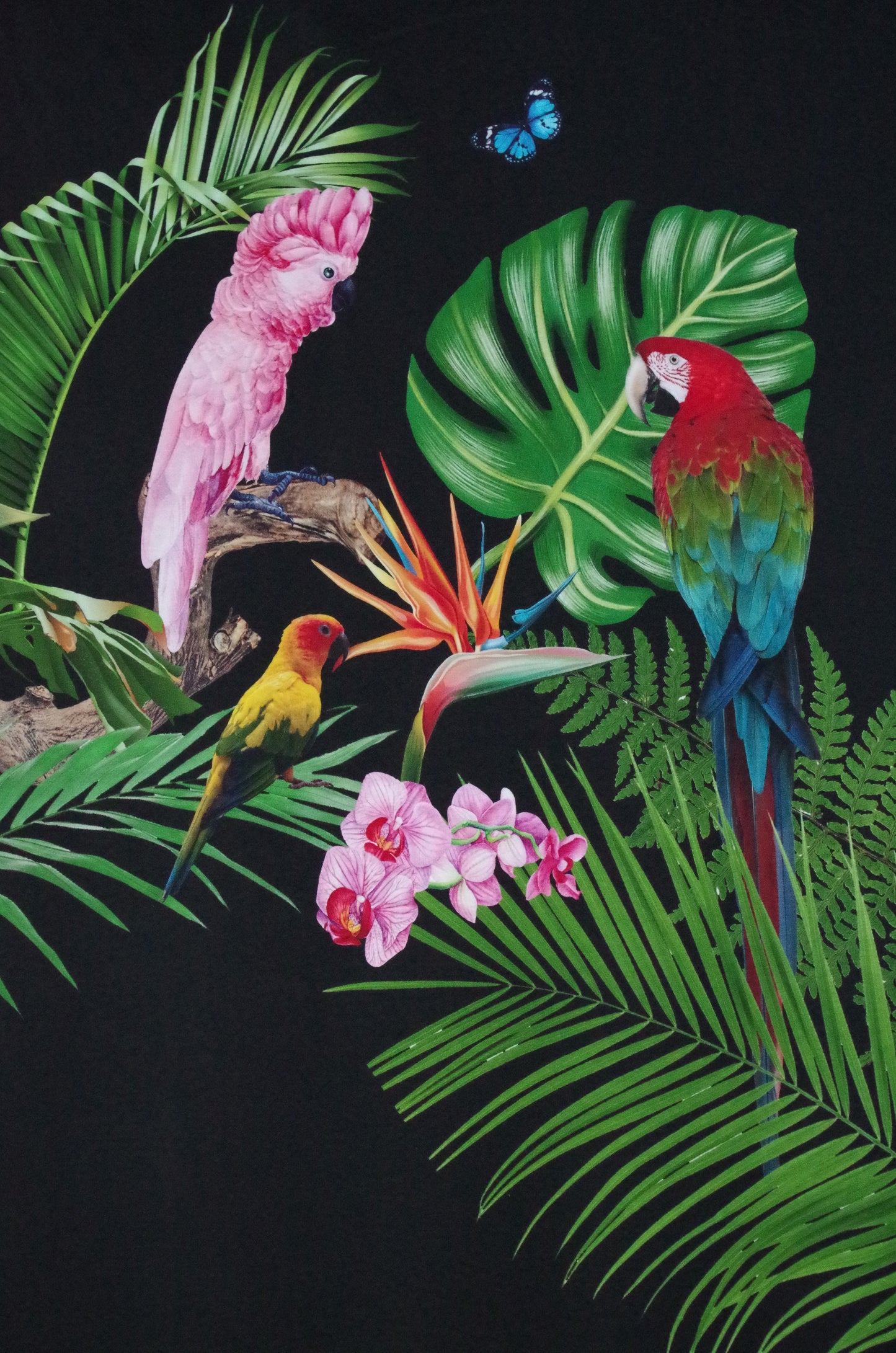 Stenzo 100% Cotton Oeko-Tex Fabric Panel - Tropical Birds on Black Background - 60" x 47"