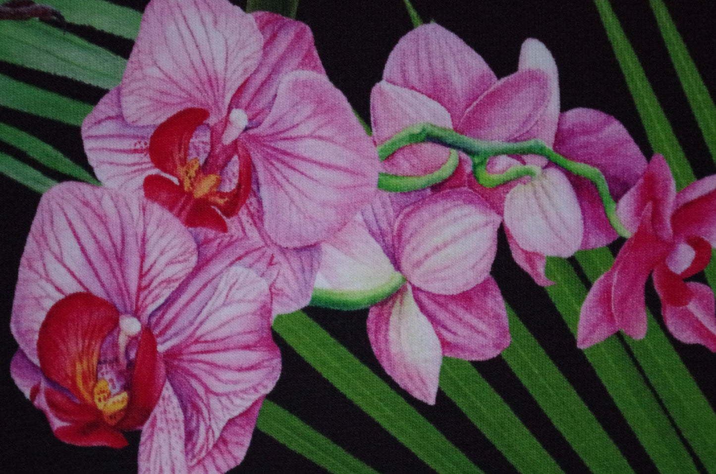 Stenzo 100% Cotton Oeko-Tex Fabric Panel - Tropical Birds on Black Background - 60" x 47"