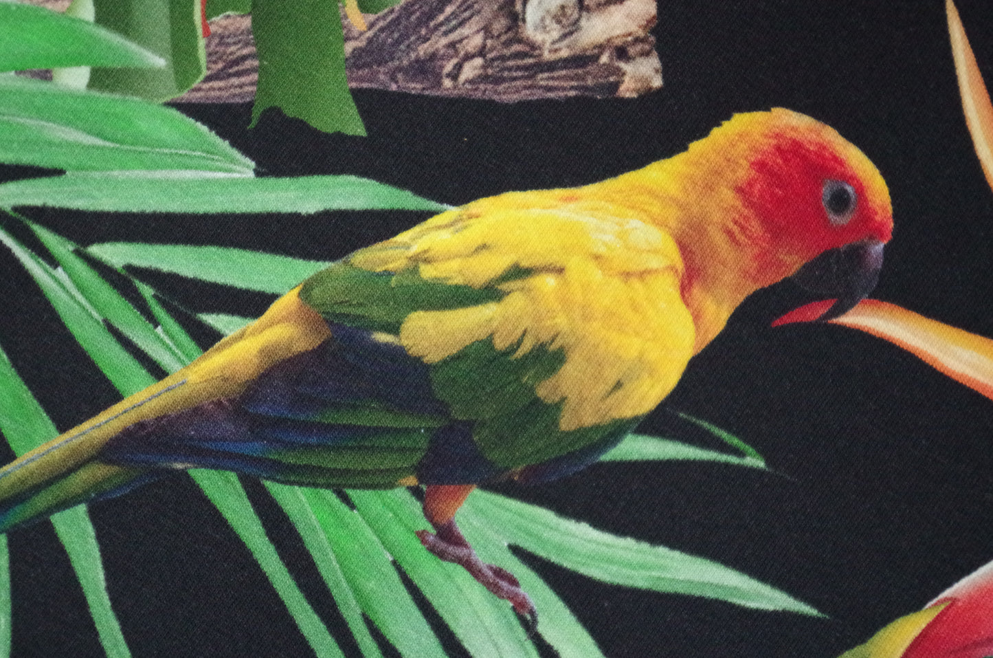 Stenzo 100% Cotton Oeko-Tex Fabric Panel - Tropical Birds on Black Background - 60" x 47"