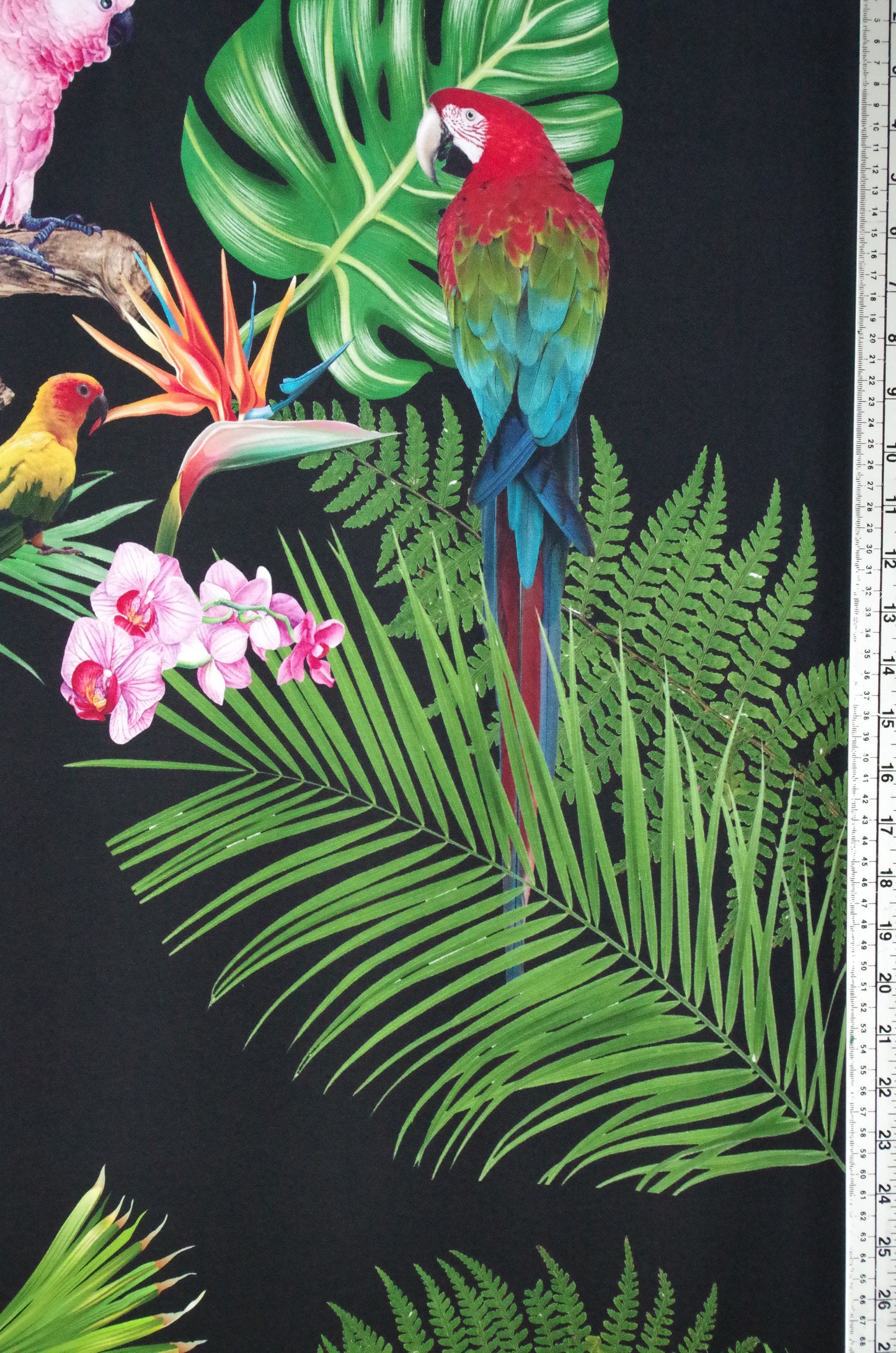 Stenzo 100% Cotton Oeko-Tex Fabric Panel - Tropical Birds on Black Background - 60" x 47"