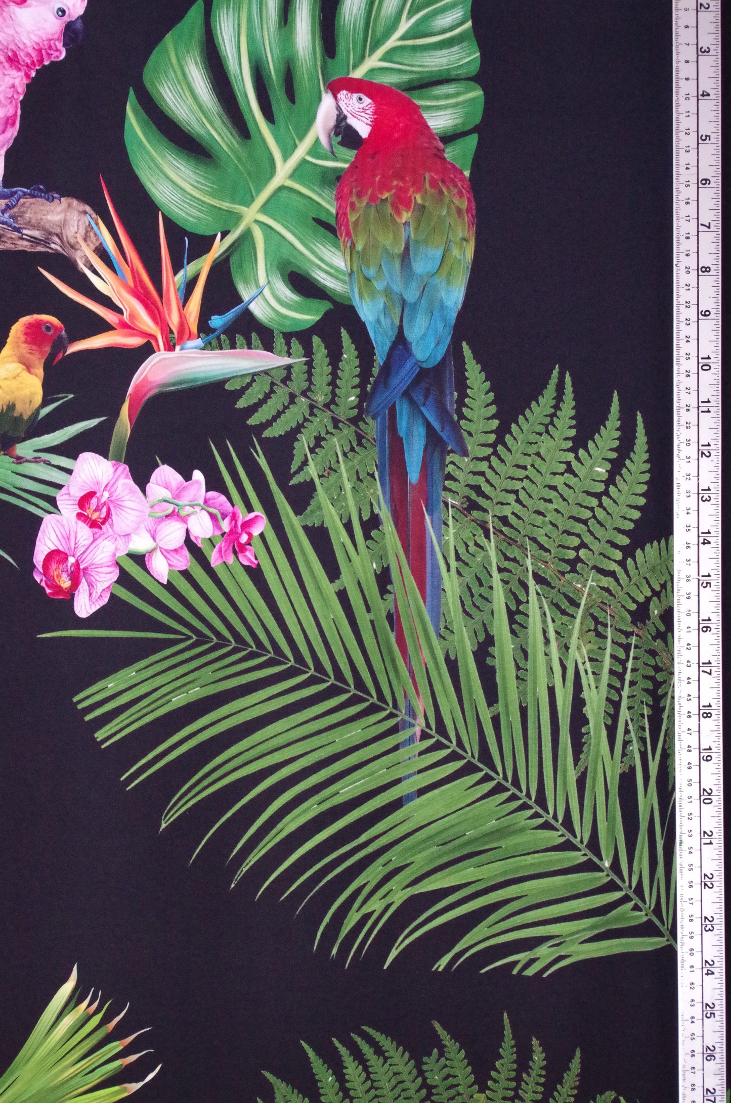 Stenzo 100% Cotton Oeko-Tex Fabric Panel - Tropical Birds on Black Background - 60" x 47"
