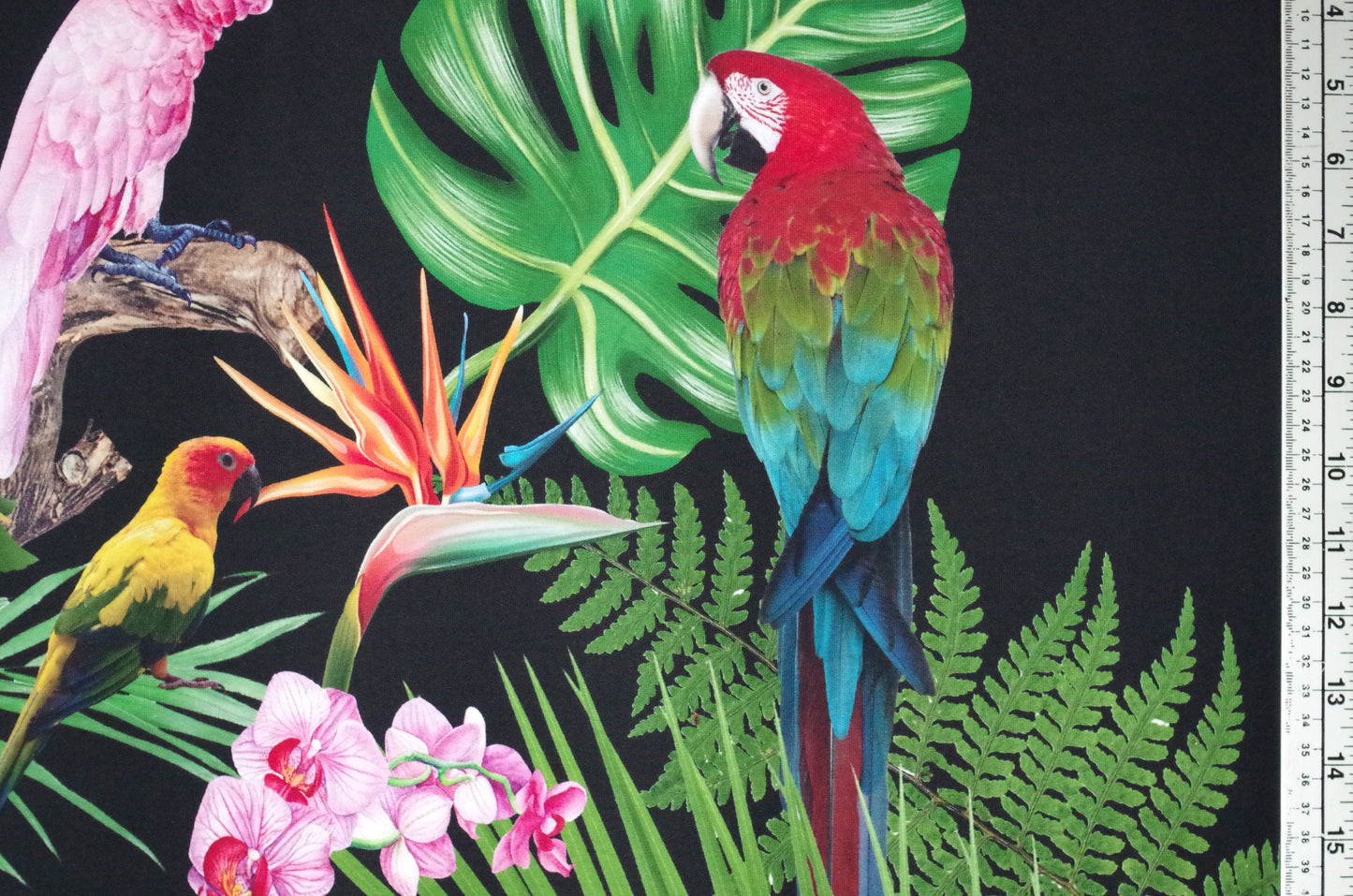 Stenzo 100% Cotton Oeko-Tex Fabric Panel - Tropical Birds on Black Background - 60" x 47"