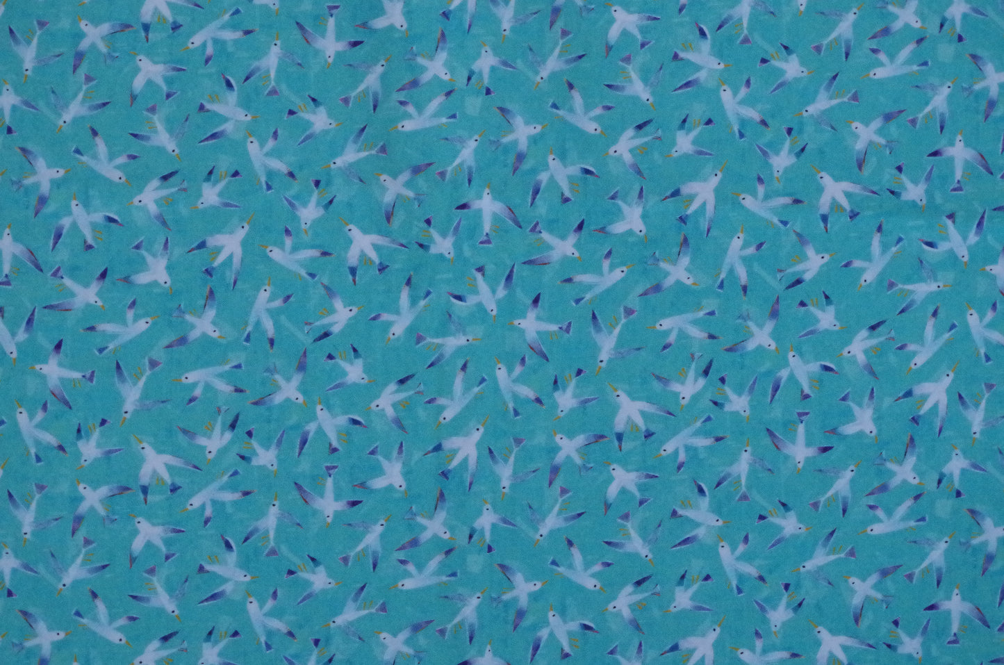 Qulting Cotton - Fat Quarter - Birds Blue