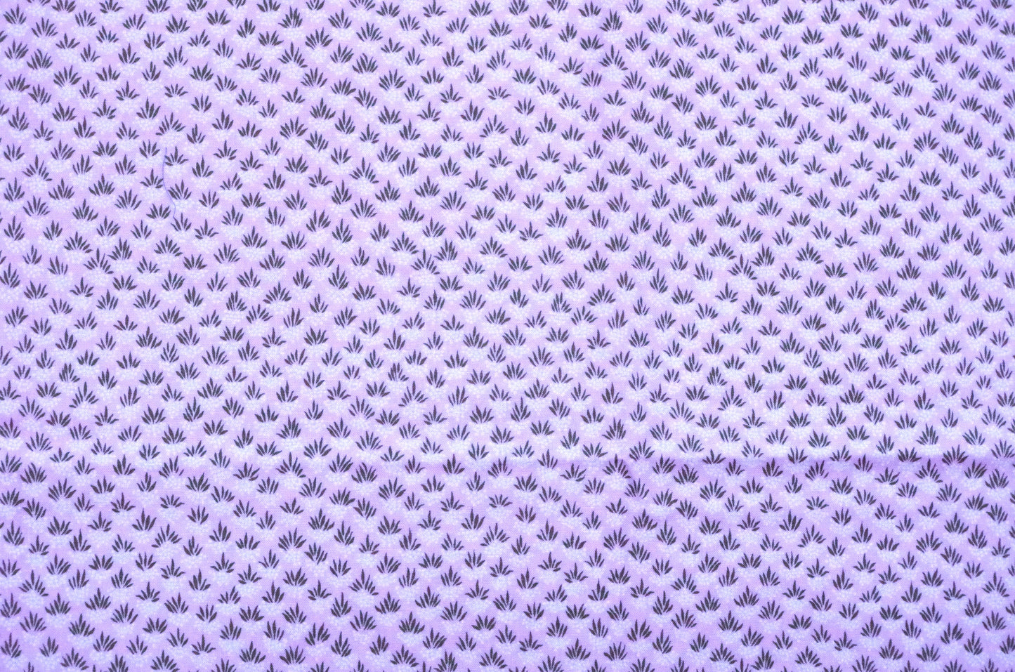 Qulting Cotton - Fat Quarter - Fruits White