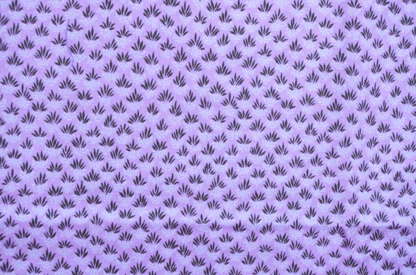 Qulting Cotton - Fat Quarter - Fruits White